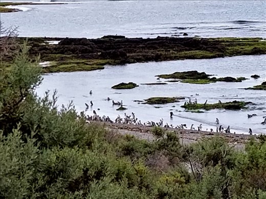 Swimming is so much fun.