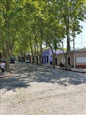 The lilac house, with purple being my favorite color, was my favorite. It was stunning with black trim.: by suziqtn, Views[287]