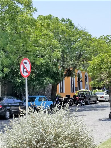 Love the salmon color!