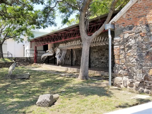 What's this doing in a private home's courtyard? I took this photo thru a small peep hole in their wall.