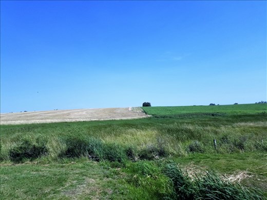 The countryside along the way.