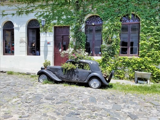 Old car with flowers.