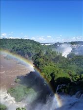 by suziqtn, Views[242]