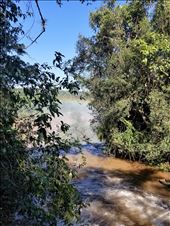 by suziqtn, Views[237]