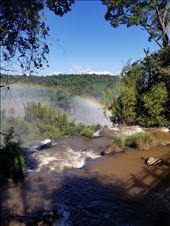 by suziqtn, Views[273]