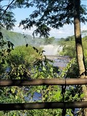 by suziqtn, Views[412]