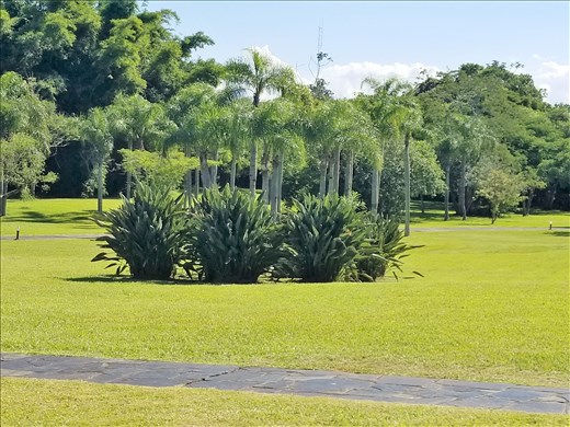 Grounds of the hotel.