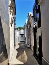 Recoleta cemetary, where Evita is buried, was HUGE. I couldn't stop taking photos, as you'll see by the many which follow.: by suziqtn, Views[238]