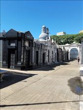 by suziqtn, Views[247]