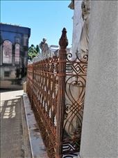 An example of the wrought-iron fencing.: by suziqtn, Views[337]
