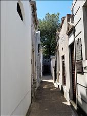 by suziqtn, Views[283]