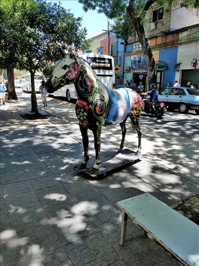 I loved this one although he was too shaded to get a clean shot.