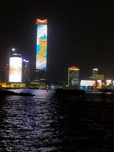 The lights on the skyscrapers were simply amazing. This one changed from a pagoda with a pathway to flowers.