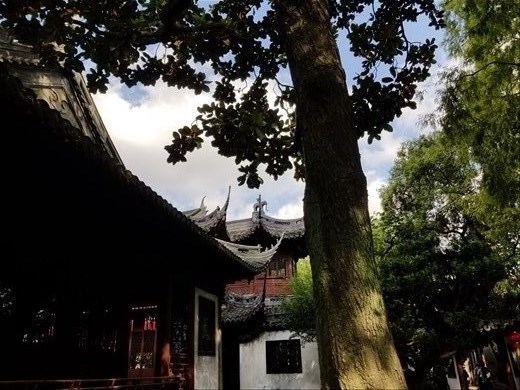 As you'll see by my photos, I just loved the roof lines.