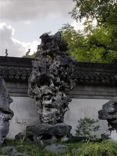 For some reason I can't understand, the Chinese love these limestone formations. This is one in the Yu gardens.