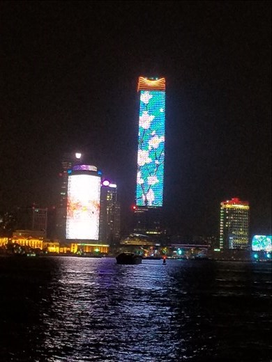 Here's the same skyscraper with flowers. A friend told me that if you tune to the correct radio station, the lights move in time with the music.