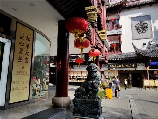 A store in the shopping district of Shanghai. Note the guard (animal) by the door!