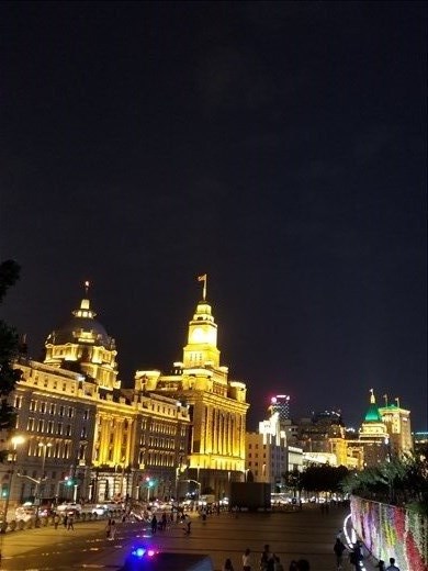 Another night view of the French concession. In the lower right, you can see the colorful wall that was done with live flowers.