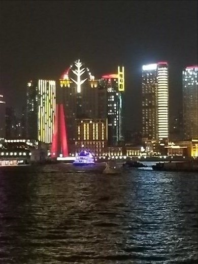 The lights on this building on the Bund mimicked a tree.