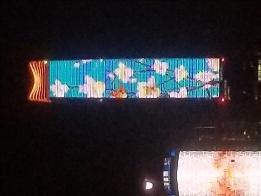 White flowers on the building.