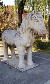 In addition to the officials and soldiers, the tombs were also guarded by animals, as seen here.: by suziqtn, Views[165]