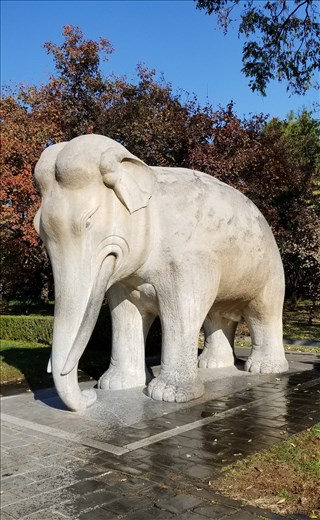 Yet another animal guard.