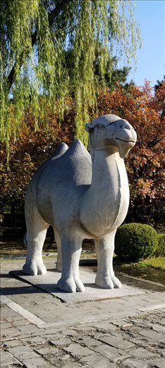 All kinds of animals were involved in protecting the tombs.