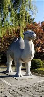 All kinds of animals were involved in protecting the tombs.: by suziqtn, Views[155]