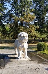 I certainly wouldn't mess with this guy!: by suziqtn, Views[338]