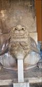 This statue was in the building as we exited. It was a turtle.: by suziqtn, Views[340]
