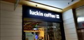 One night on our way to dinner outside the hotel, I saw this coffee shop, We all laughed and wondered if Luckin was really what they were implying.: by suziqtn, Views[408]