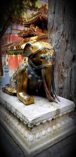 Another common sight were elephants which are a symbol of wisdom and strength. 