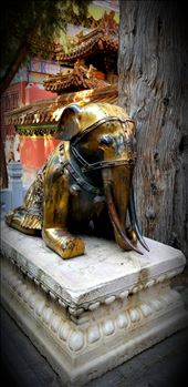 Another common sight were elephants which are a symbol of wisdom and strength. : by suziqtn, Views[459]