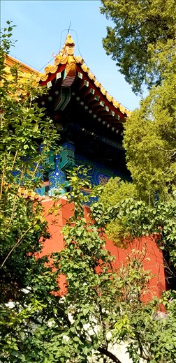 Looking through trees at  another building.