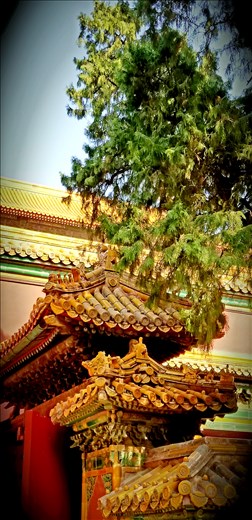 If you look closely, you'll see that the end of each of these bamboo-shaped roof tiles is carved. I guess there's some value to having more than 1 billion people in your country.