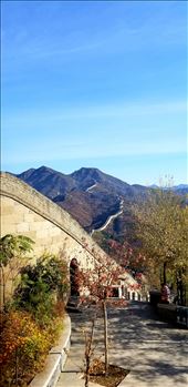 This side view shows the construction of it.: by suziqtn, Views[212]