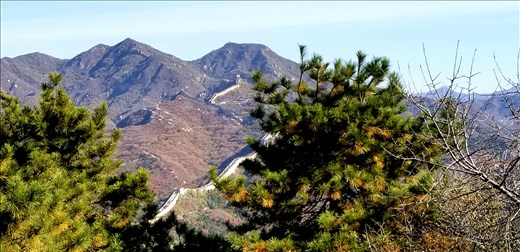 Serpentine in nature.