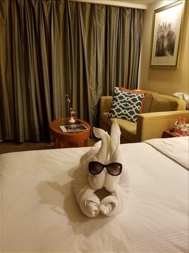 Hello from our room steward.