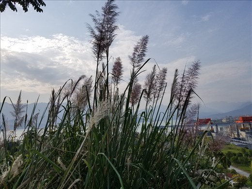 Yet another photo in my never-ending battle to capture an 