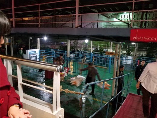 These men were loading the ship with unbelievably heavy loads on the ends of bamboo poles. There were too many Viking workers for me to get a good shot, but this is one of the lighter loads.