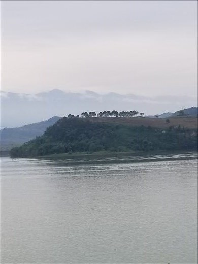 This is a great, foggy view from above.