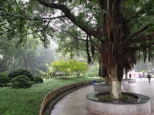 In this view of the gardens, you can see badminton players in the background. There must've been over 50 pairs hitting the birdies back and forth. They were amazingly good at it -- rarely missing a shot.