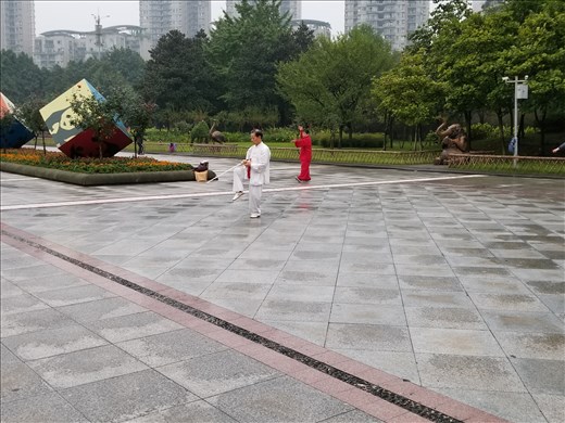And, in addition to the badminton players, there were people practicing tai chi as well.