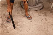 He gave me directions to the turtle farm on his 'living room' floor.: by svercoe, Views[276]