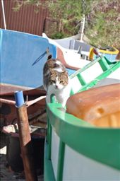 by sveta_k, Views[126]