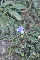 by sveta_k, Views[135]