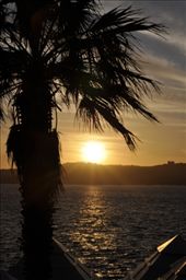 by sveta_k, Views[180]