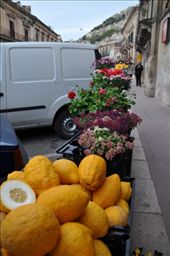 by sveta_k, Views[124]