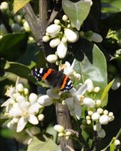 by sveta_k, Views[135]