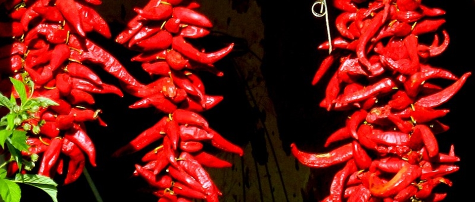 This is how we put them on thread from the summer. Process of drying 